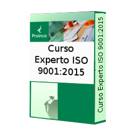 Curso Experto ISO 9001