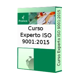 Curso Experto ISO 9001