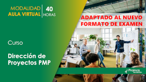 Curso Dirección de Proyectos PMP