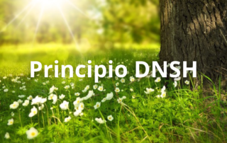 Autoevaluación del Principio DNSH