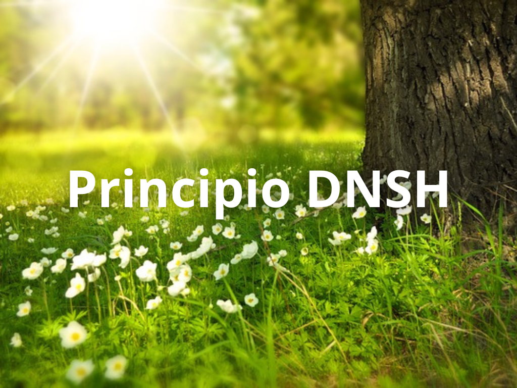 Autoevaluación del Principio DNSH