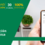 Curso Facturación Electrónica